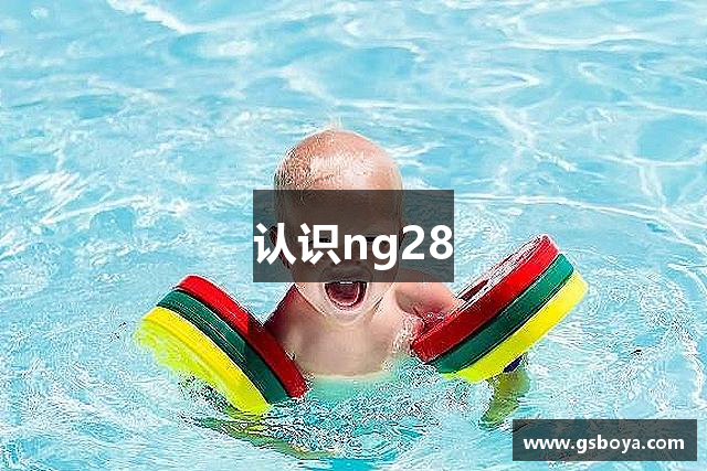 认识ng28